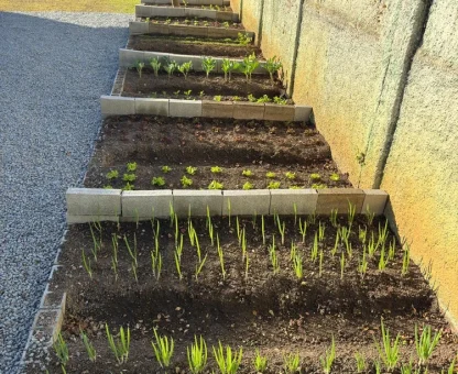 Casa de Repouso em Embu Das Artes ()